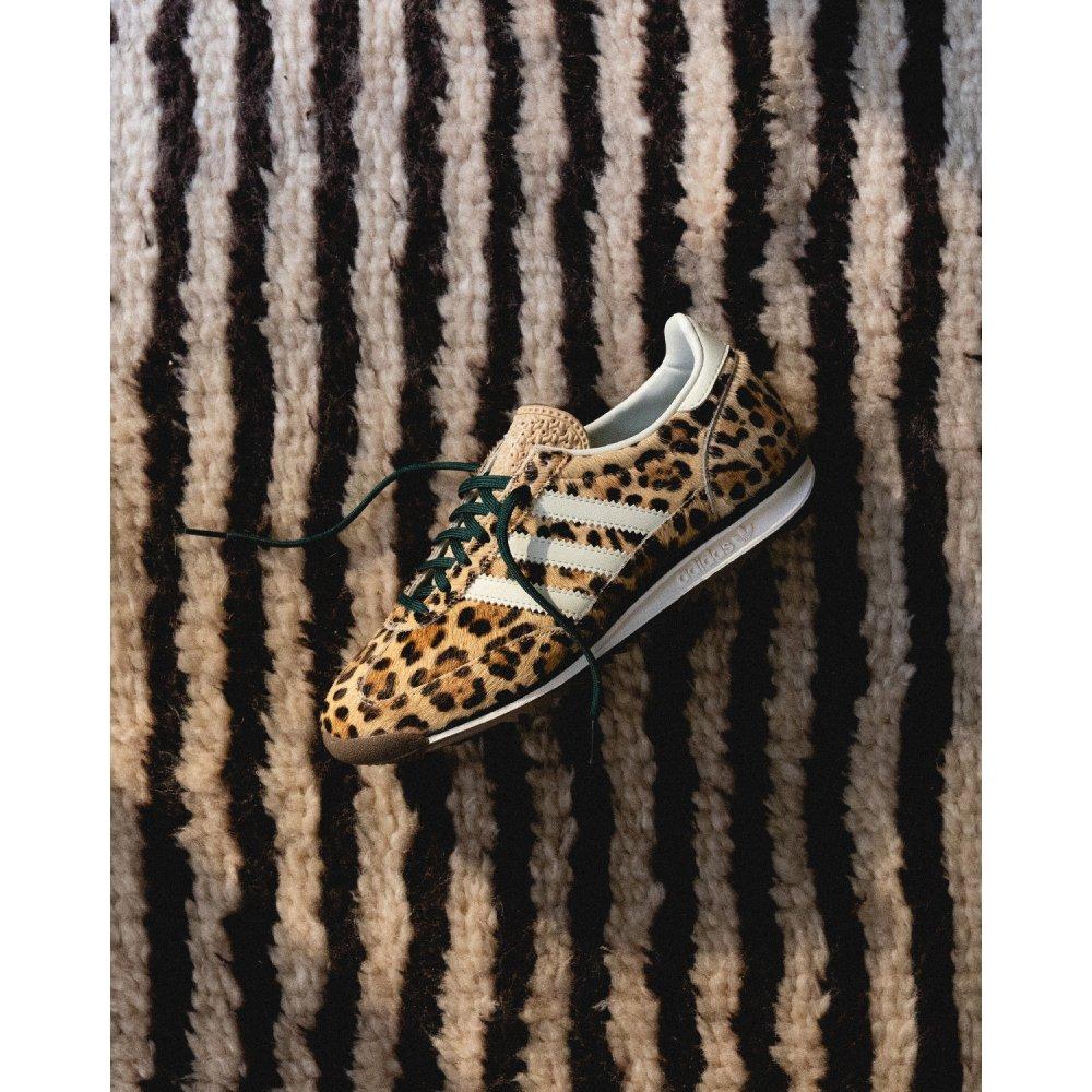 Shoe with background